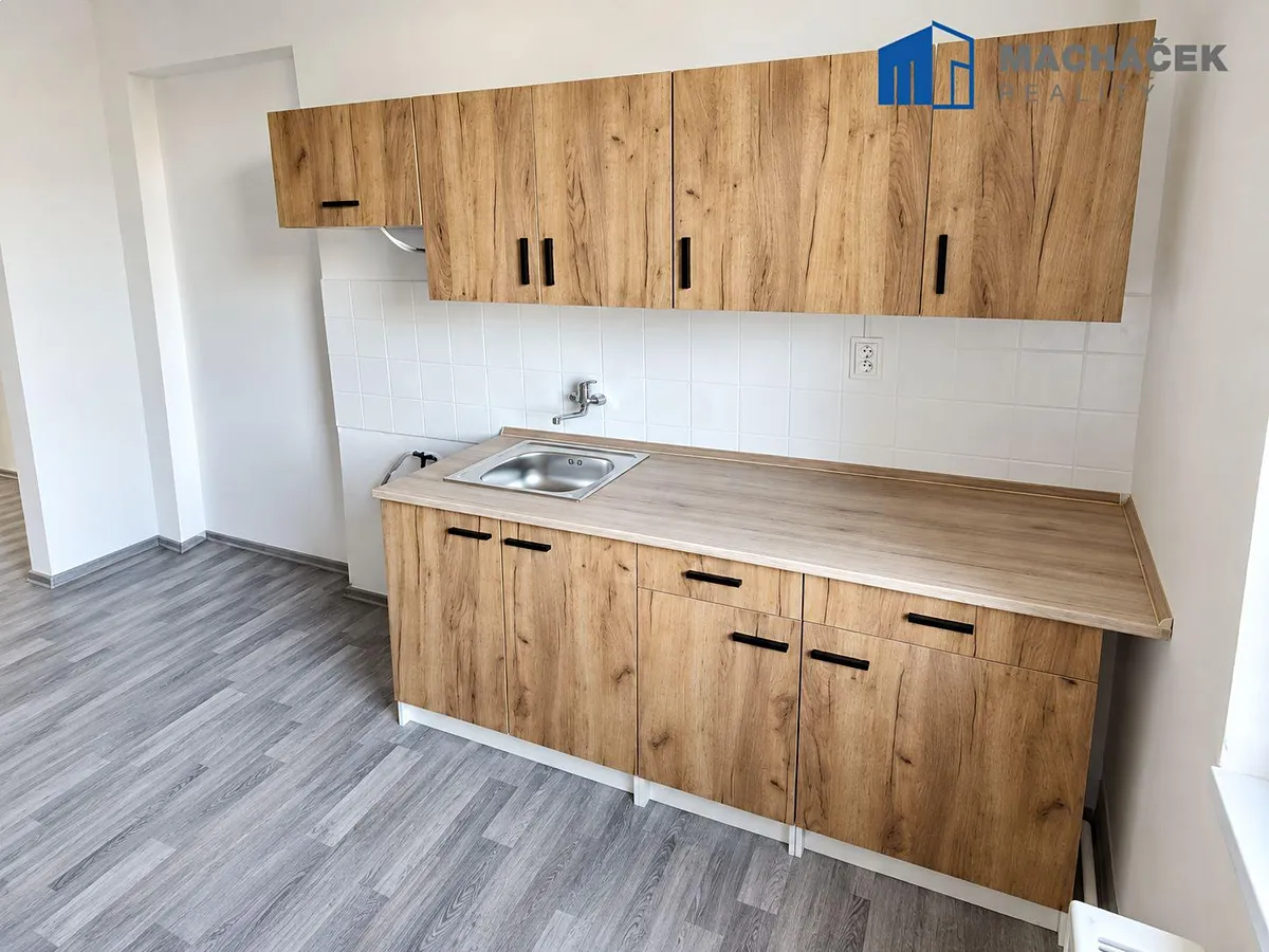 Pronájem bytu 1+1 40 m²